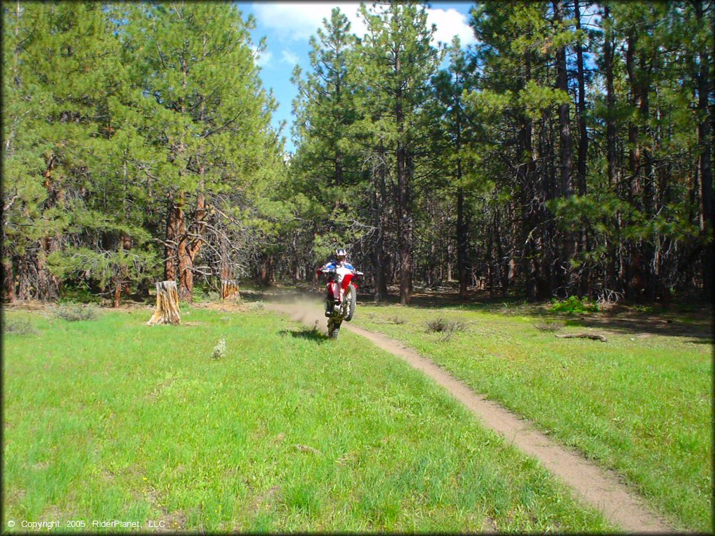 Honda CRF Trail Bike popping a wheelie at Bull Ranch Creek Trail