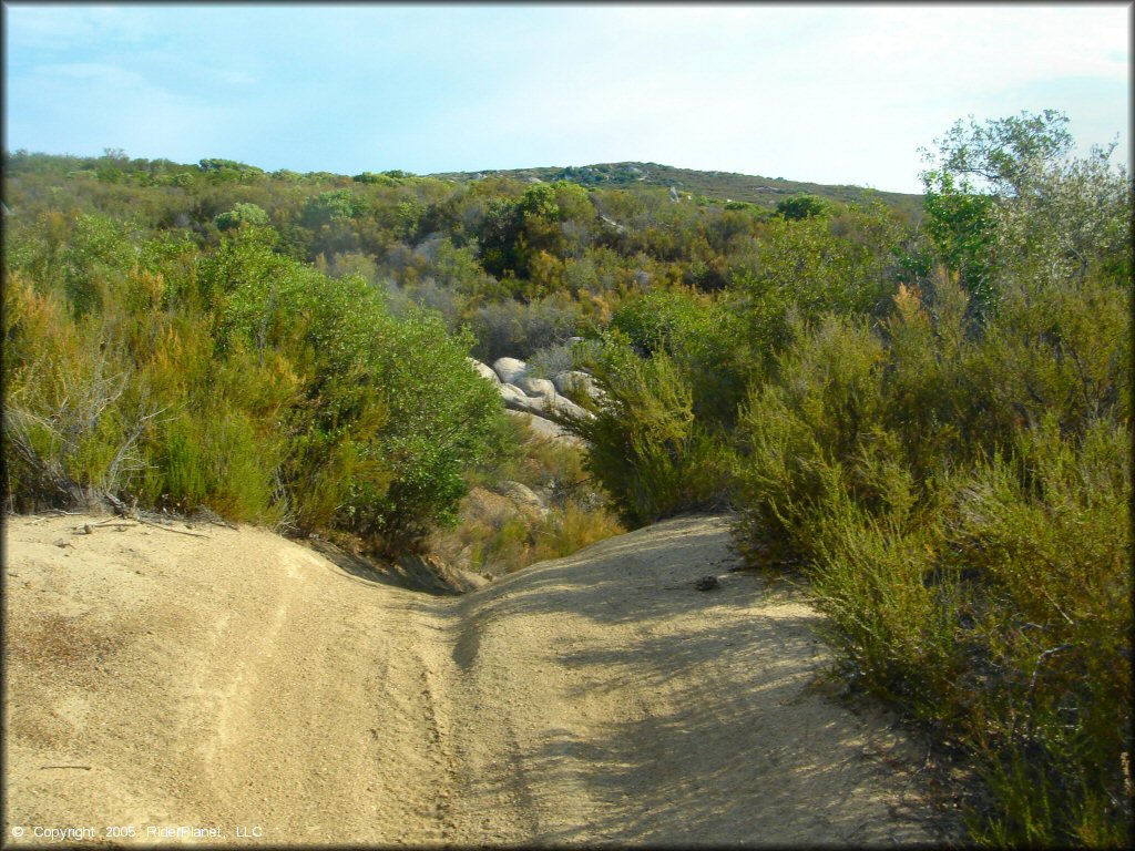 A scenic portion of the ATV trail with various scrub brush and bushes.