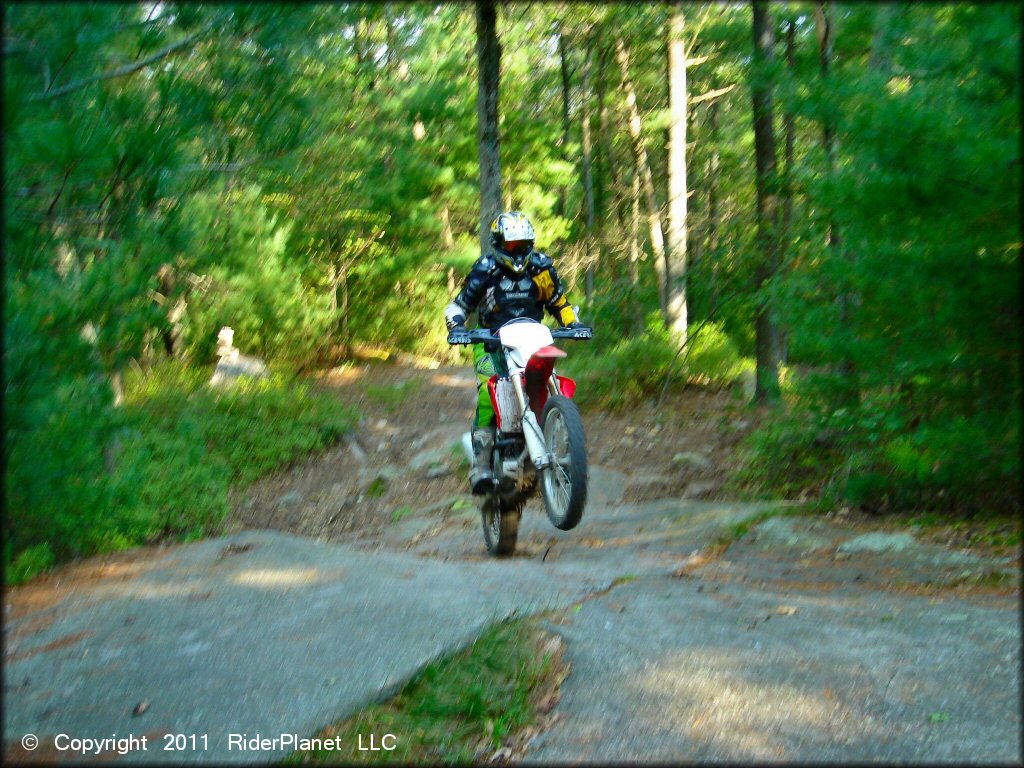 OHV doing a wheelie at F. Gilbert Hills State Forest Trail