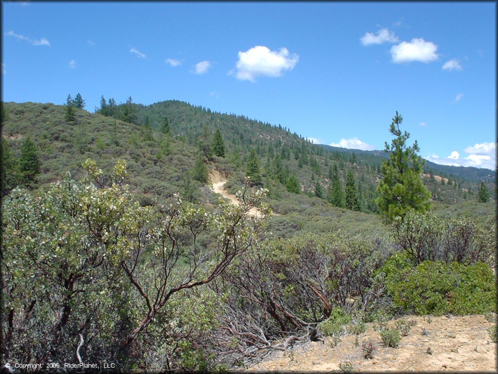 Scenery at Chappie-Shasta OHV Area Trail