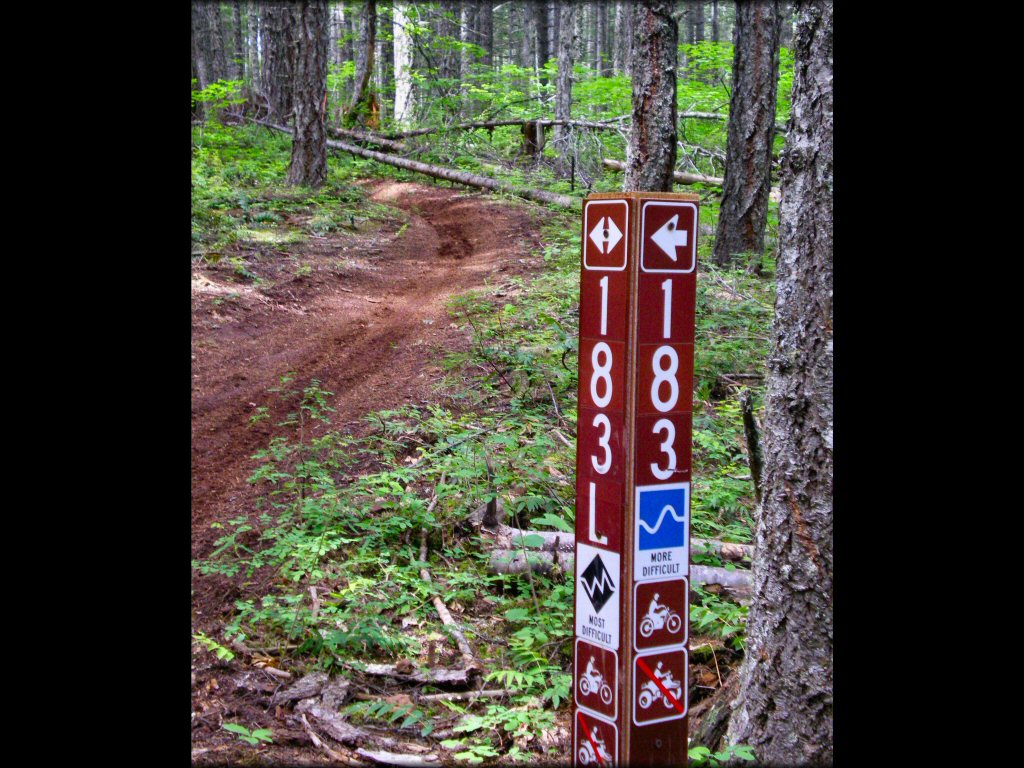 Terrain example at Hood River County OHV Trails