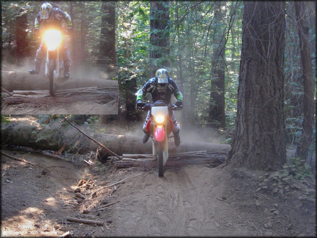 Honda CRF Motorcycle at Interface Recreation Trails