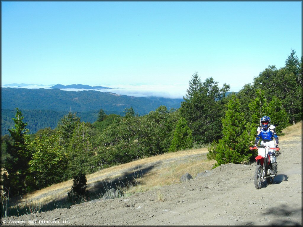Woman on a Honda CRF Motorcycle at Pilot Creek OHV Trails
