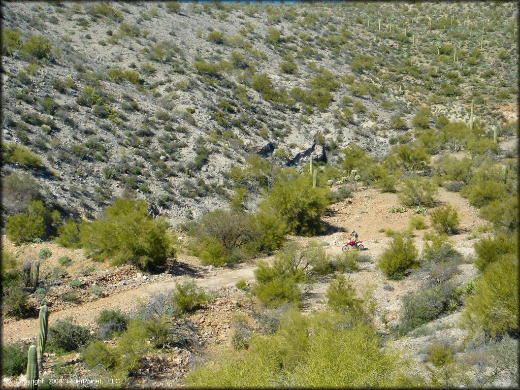 Honda CRF Motorcycle at Mescal Mountain OHV Area Trail