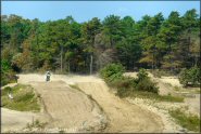 Trail Photo