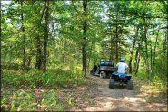 Trail Photo