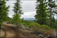 Trail Photo