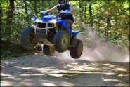 Trail Photo