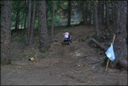 Trail Photo