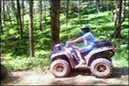 Trail Photo