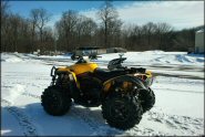 Trail Photo