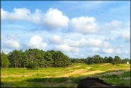 Trail Photo