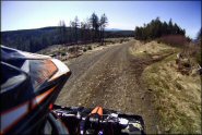 Trail Photo