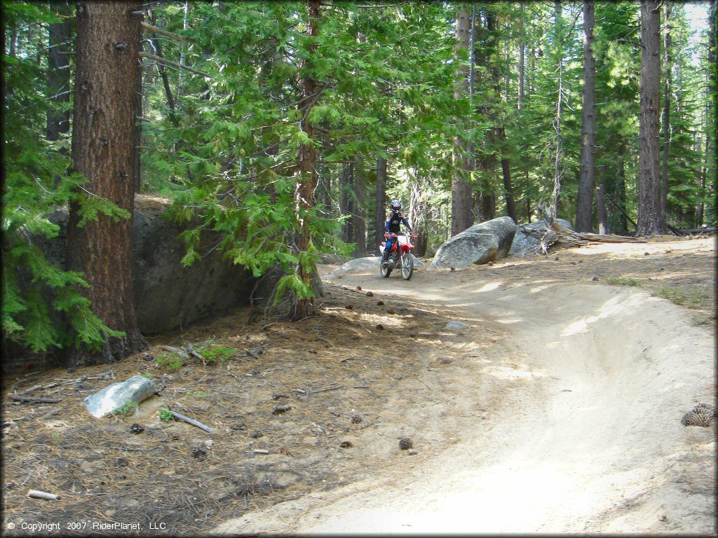 Honda CRF Dirtbike at Corral OHV Trail