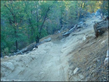 Some terrain at Lake Arrowhead Trail