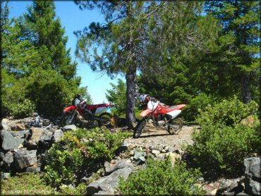Honda CRF Motorcycle at High Dome Trail