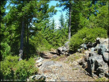 Terrain example at High Dome Trail