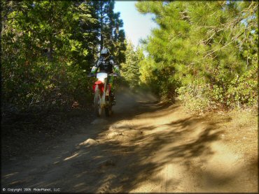 Honda CRF Motorcycle popping a wheelie at Black Springs OHV Network Trail