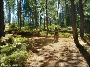 Honda CRF Motorcycle at Interface Recreation Trails
