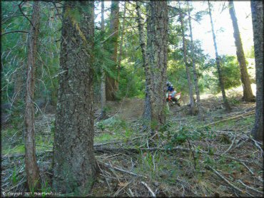 Girl riding a Honda CRF Trail Bike at Pilot Creek OHV Trails