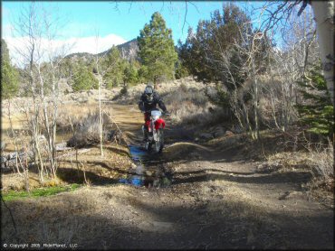 Honda CRF Dirt Bike crossing the water at Leviathan Recreation Area Trail