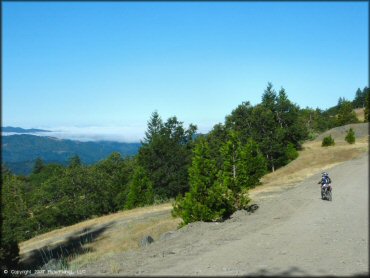 Female rider on a Honda CRF Trail Bike at Pilot Creek OHV Trails