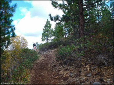 Honda CRF Dirt Bike at Prosser Hill OHV Area Trail