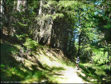 Girl riding a Honda CRF Dirt Bike at Pilot Creek OHV Trails