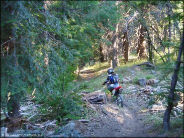Girl riding a Honda CRF Motorcycle at Pilot Creek OHV Trails