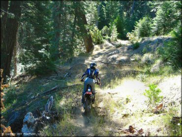 Girl riding a Honda CRF Trail Bike at Pilot Creek OHV Trails