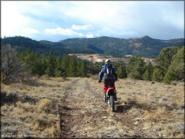 Honda CRF Motorcycle at Leviathan Recreation Area Trail