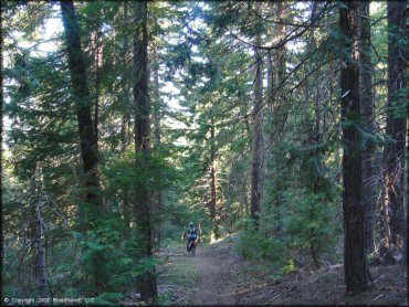 Woman on a Honda CRF Motorcycle at Pilot Creek OHV Trails