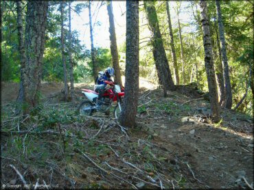 Girl on a Honda CRF Dirt Bike at Pilot Creek OHV Trails