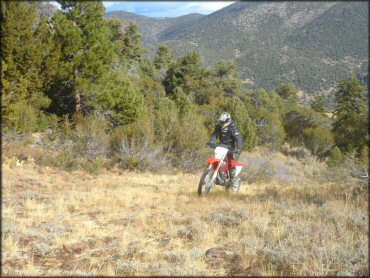 Honda CRF Motorcycle at Leviathan Recreation Area Trail