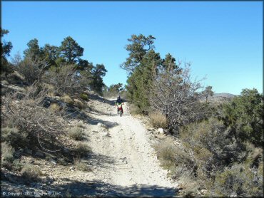 Honda CRF Motorcycle at Big Bear Lake Trail