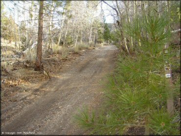 Some terrain at Leviathan Recreation Area Trail