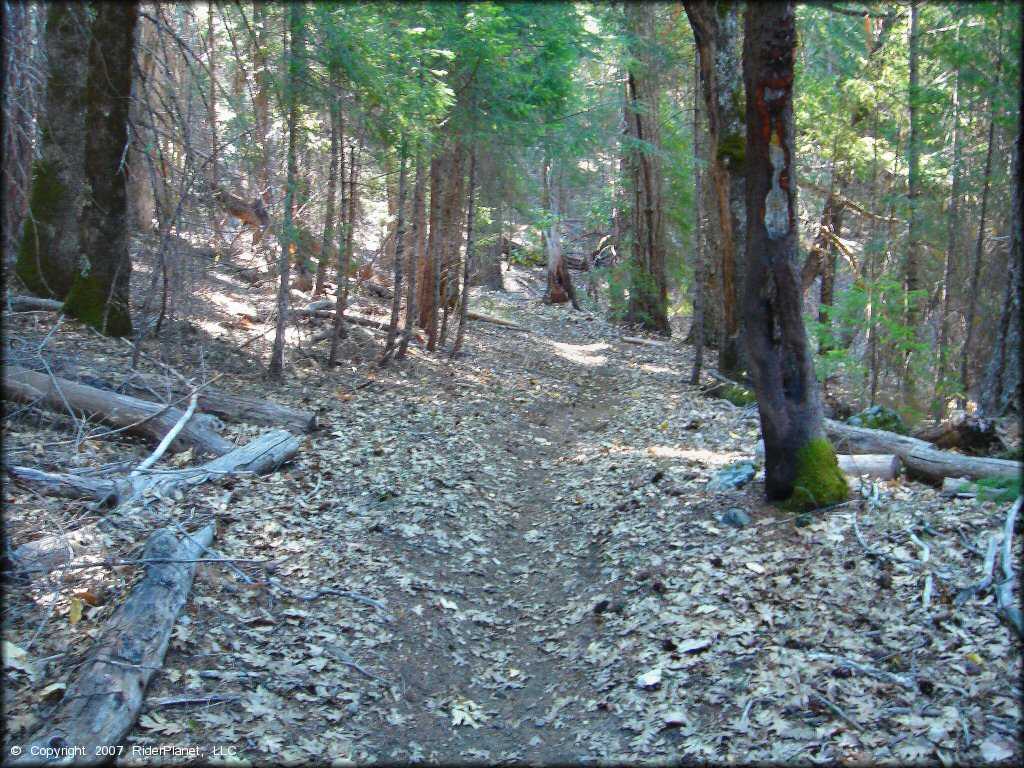 Example of terrain at Pilot Creek OHV Trails