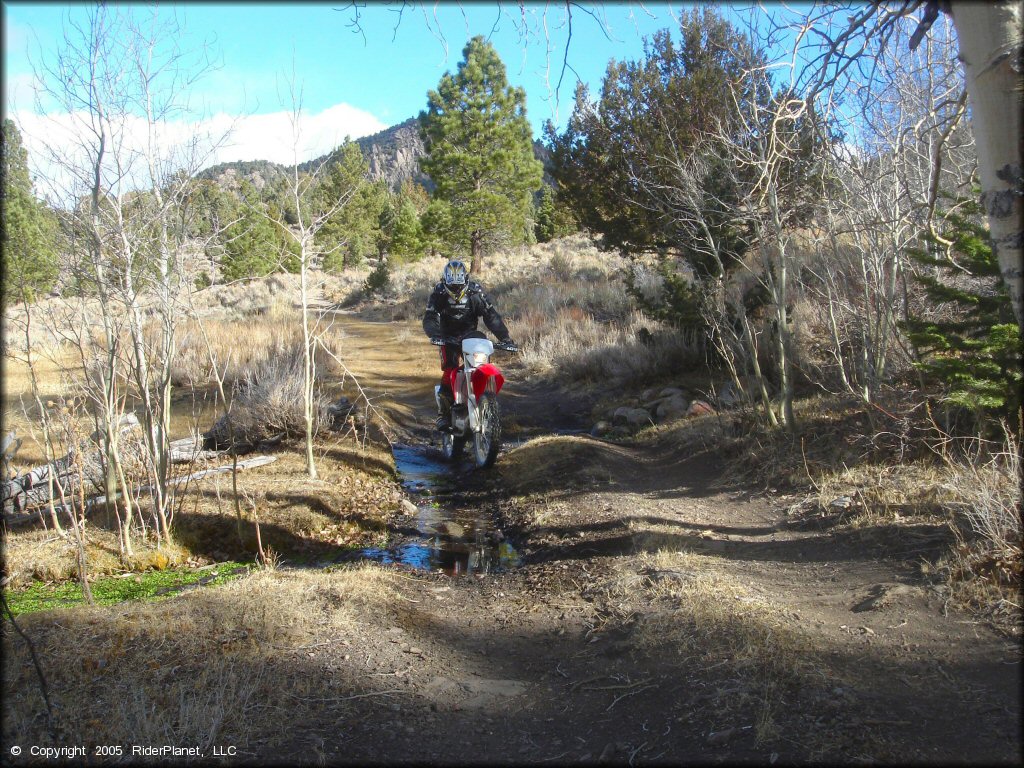 Honda CRF Motorbike crossing the water at Leviathan Recreation Area Trail