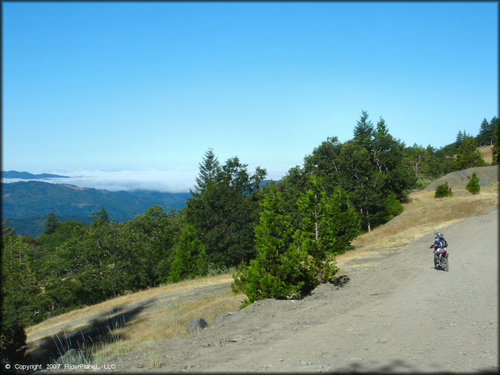 Girl on a Honda CRF Motorcycle at Pilot Creek OHV Trails