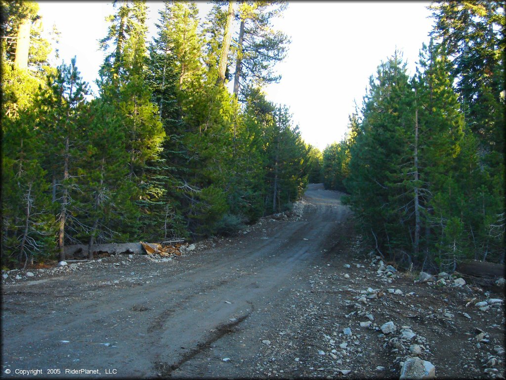 Some terrain at Jackson Meadows Trail