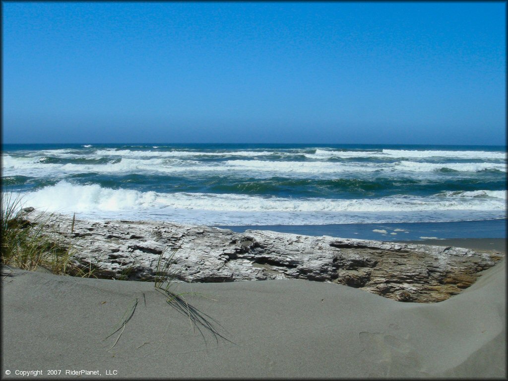 Scenic view of Samoa Sand Dunes OHV Area