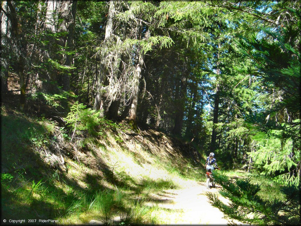 Woman riding a Honda CRF Motorbike at Pilot Creek OHV Trails