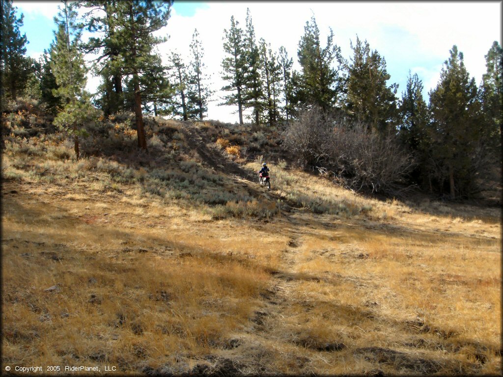 Honda CRF Motorcycle at Leviathan Recreation Area Trail