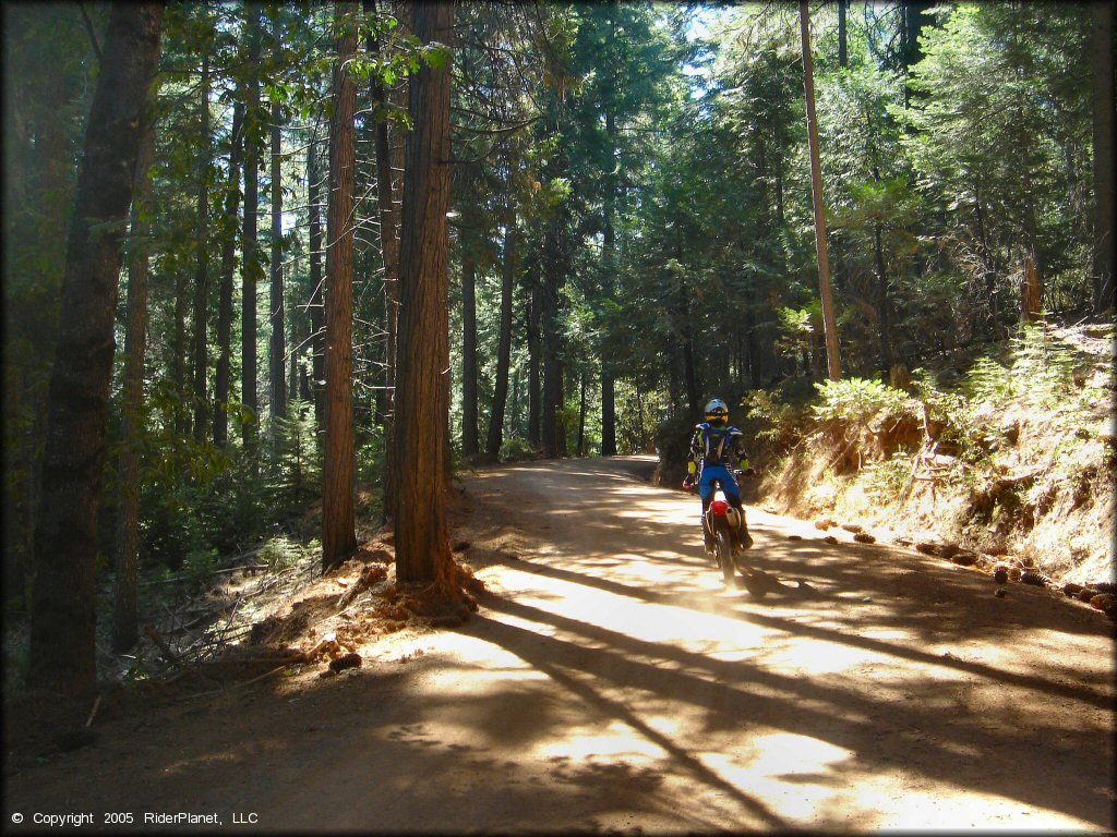Honda CRF Motorbike at Miami Creek OHV Area Trail