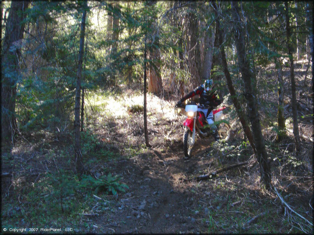 Honda CRF Motorbike at Pilot Creek OHV Trails
