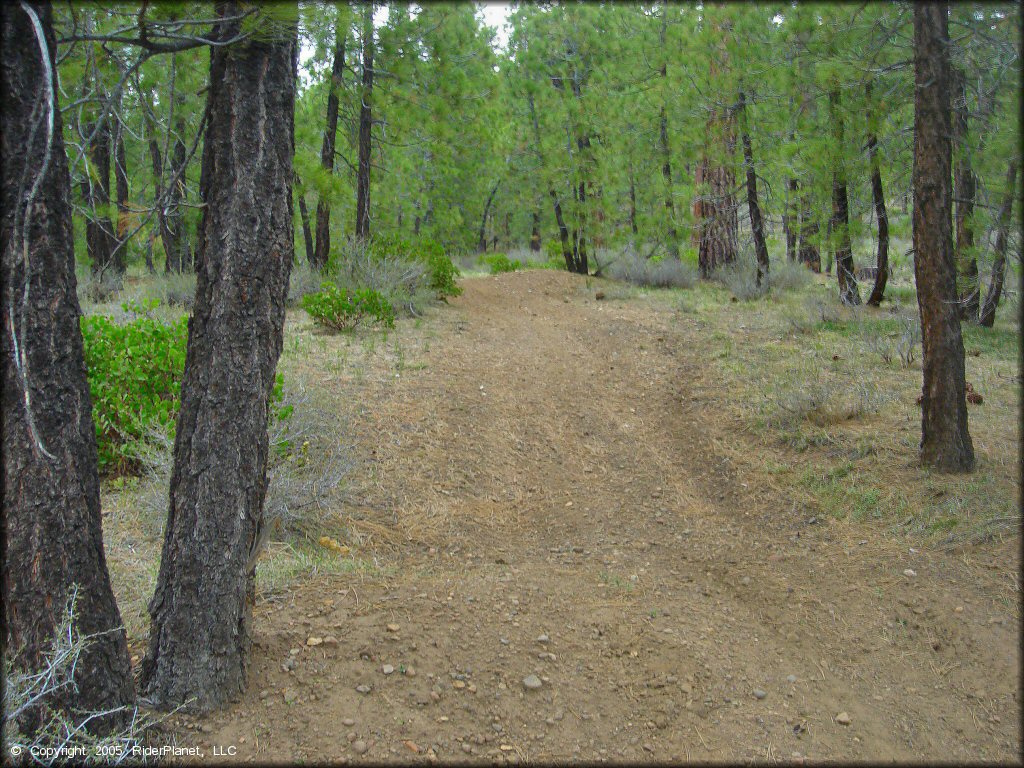 Some terrain at Verdi Peak OHV Trail