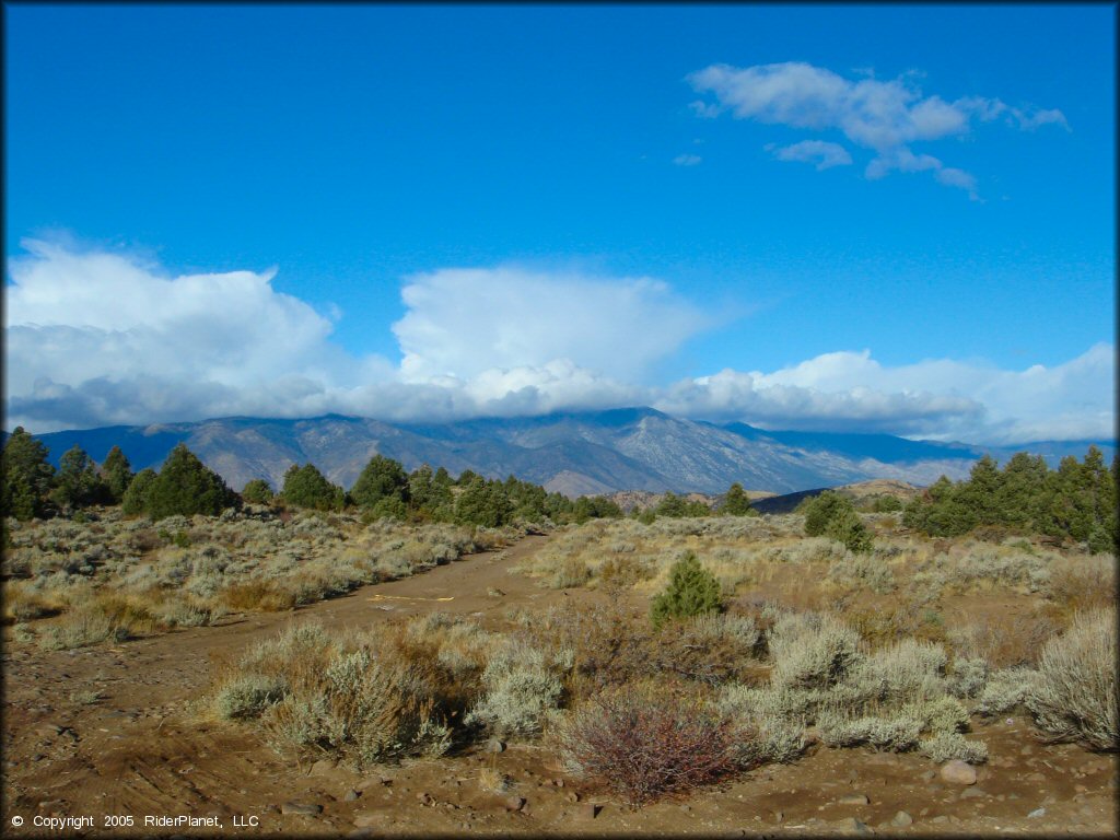 Scenic view at Leviathan Recreation Area Trail