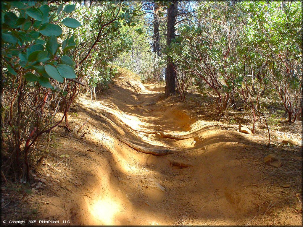 Some terrain at Georgetown Trail