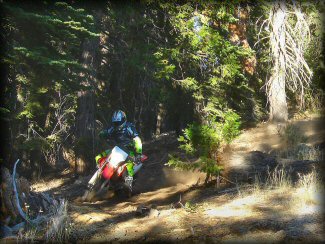 Dirt Bike Rider On Trail