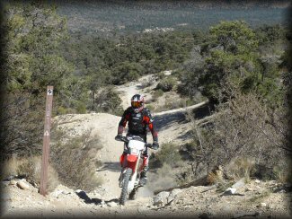 Dirt Bike Rider On Rocky Woods Trail